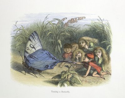 Drażni motyla autorstwa Richard Doyle