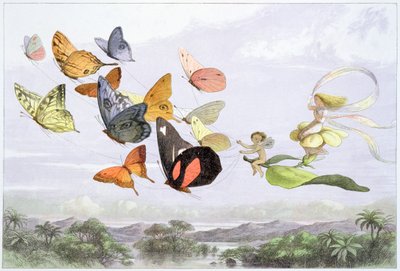 „Powóz Królowej Wróżek”, ok. 1870 r. autorstwa Richard Doyle
