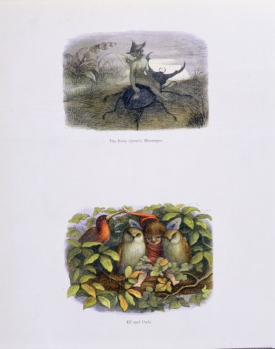Posłaniec Królowej Wróżek oraz Elf i Sowy, ilustracje z „W krainie baśni: seria obrazów ze świata elfów” autorstwa Williama Allinghama i Andrew Langa autorstwa Richard Doyle