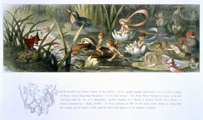 Lilie wodne i wróżki wodne, ilustracja z „W krainie baśni: seria obrazków ze świata elfów” autorstwa Williama Allinghama i Andrew Langa autorstwa Richard Doyle