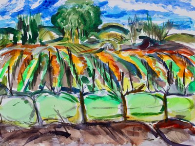 Jesienne Winnice, Napa, 2017 autorstwa Richard Fox