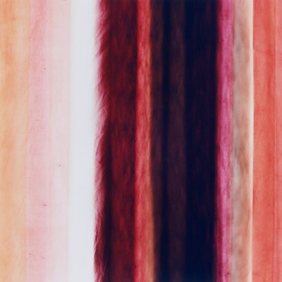 Stripe X, 2005 autorstwa Richard Green