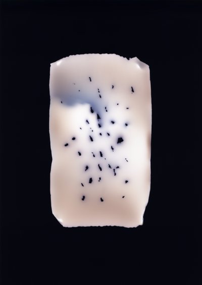 Bez tytułu, 2001 autorstwa Richard Green
