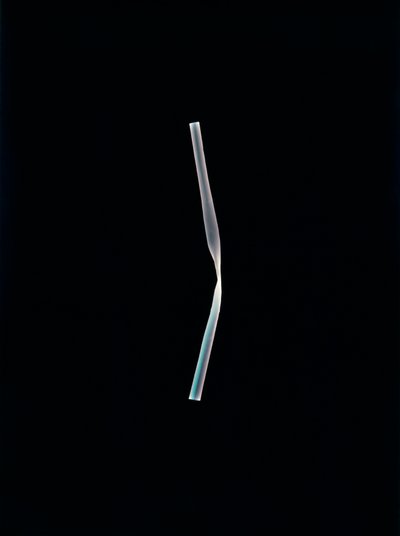 Bez tytułu, 2004 (unikalny fotogram typu C) autorstwa Richard Green
