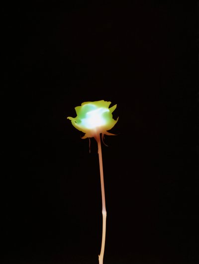 Без названия, 2007 г., польский autorstwa Richard Green