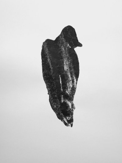 Bez tytułu, 2009 (monotypia) autorstwa Richard Green