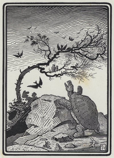 Żółw i ptaki (rycina) autorstwa Richard Heighway