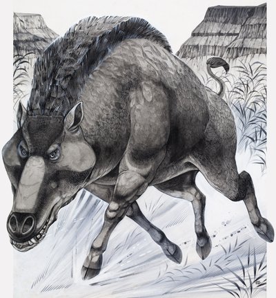 Daeodon (gwasz na papierze) autorstwa Richard Hook