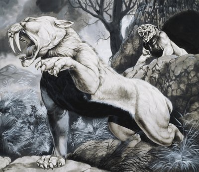 Tygrysy szablozębne (gwasz na papierze) autorstwa Richard Hook