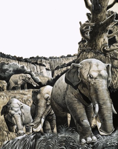 Dziwny Amebelodon autorstwa Richard Hook
