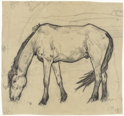Pasący się koń w Noordwijk autorstwa Richard Nicolaüs Roland Holst