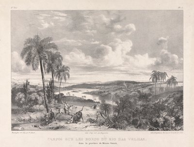 Campos sur les bords Rio das Velhas autorstwa Richard Parkes Bonington