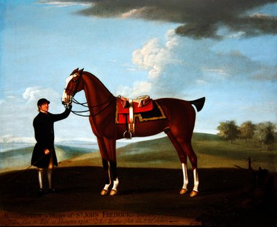 sir John Frederick „Bucephulus”, łowca zatok, trzymany przez pana młodego w Hampton autorstwa Richard Roper