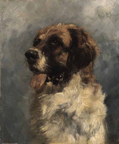 Bernhardiner Hund autorstwa Richard Voltz