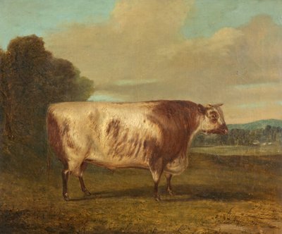 Byk, 1862 autorstwa Richard Whitford