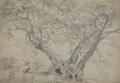 Arbra Sacra nad brzegiem jeziora Nemi, ok. 1754-56 (czarno-biała kreda na papierze) autorstwa Richard Wilson