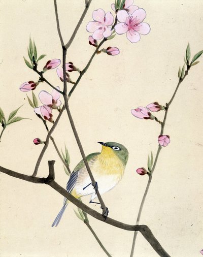 Bird - Japanese drawing by Riou Chim, late 19th century   1397561   pl       polish Successfully Translated  Original: The Slave Market Translat: The Slave Market 1242668 pl polish Successfully Translated Original: Architecture: “” View from the interior o autorstwa Riu Chim