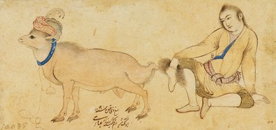 Studium młodzieńca i barana, 1630-31 lub później autorstwa Riza i Abbasi