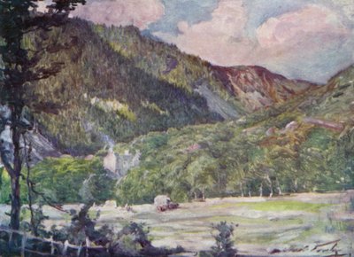 Hayfield niedaleko Portmadoc (kolor lito) autorstwa Robert (after) Fowler