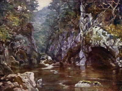 Fairy Glen, Bettws-y-Coed (kolor lito) autorstwa Robert (after) Fowler