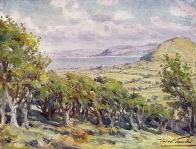 W pobliżu Colwyn Bay (kolor lito) autorstwa Robert (after) Fowler