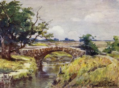 Stary Most Rzymski, niedaleko Swansea (litografia kolorowa) autorstwa Robert (after) Fowler