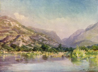 Na rzece Seiont, Carnarvonshire, Evening Glow (kolor lito) autorstwa Robert (after) Fowler