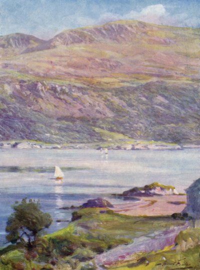 Sunny Afternoon, Cardigan Bay (kolor lito) autorstwa Robert (after) Fowler
