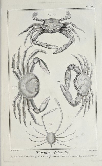 Kraby, ilustracja z „Kolekcja płyt o naukach ścisłych, sztukach wyzwolonych i sztukach mechanicznych, wraz z ich wyjaśnieniem” autorstwa Denisa Diderota autorstwa Robert Benard