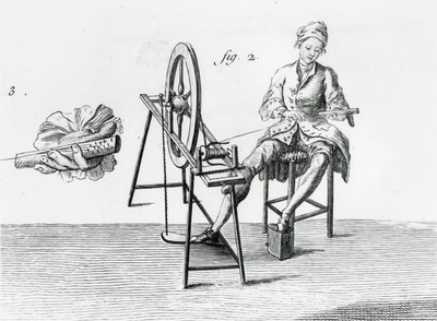 Ekonomia rustykalna, bawełna, z Encyklopedii Denisa Diderota 1713-84 grawerowanie bw szczegół zdjęcia z 164438 autorstwa Robert Benard