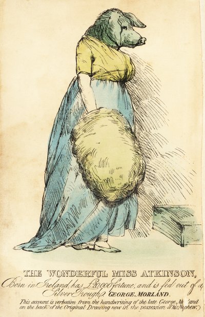 Dama z twarzą świni, słynna w Londynie około 1815 roku. autorstwa Robert Cooper