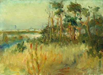 Atlantic City (olej na płótnie) autorstwa Robert Cozad Henri