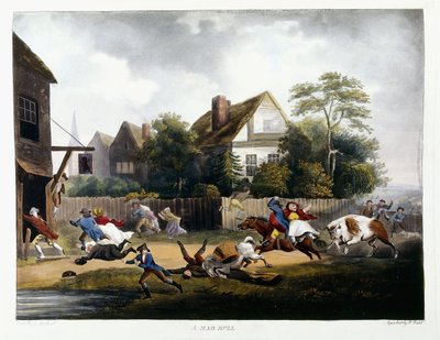 Szalony byk, 1806 autorstwa Robert Dodd