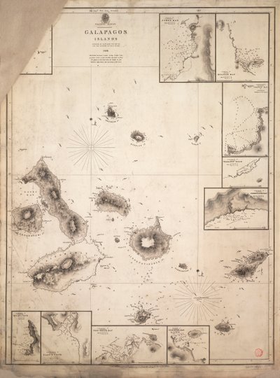Mapa wysp Galapagos zbadanych podczas podróży HMS "Beagle autorstwa Robert Fitzroy