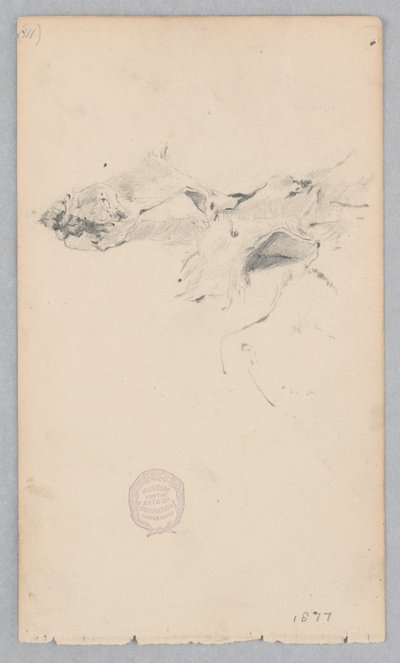 Dywan ze skóry tygrysa autorstwa Robert Frederick Blum