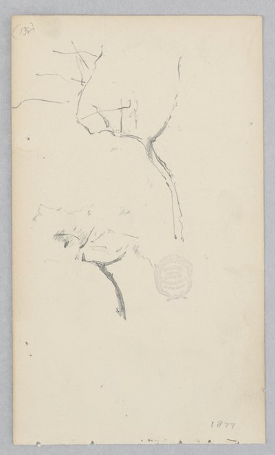 Drzewo autorstwa Robert Frederick Blum