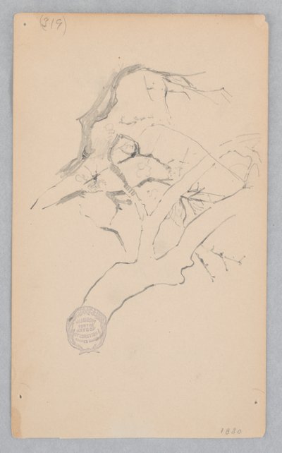 Gałąź drzewa autorstwa Robert Frederick Blum