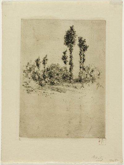 Niedokończony krajobraz autorstwa Robert Frederick Blum