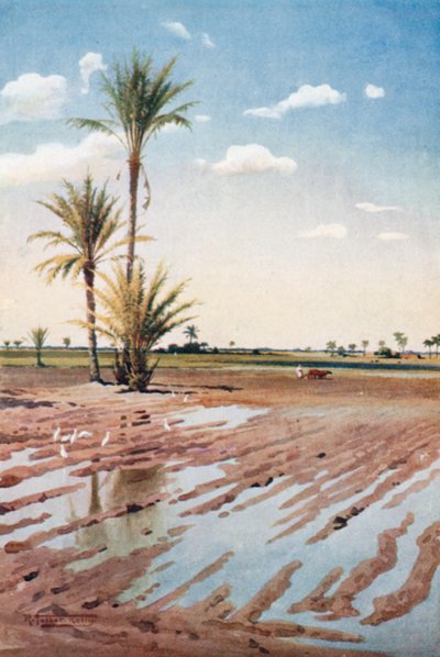  autorstwa Robert George Talbot Kelly