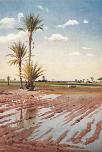 Pole nawadniane, ok. 1880, 1904 r. autorstwa Robert George Talbot Kelly