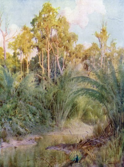 Dom pawia autorstwa Robert George Talbot Kelly