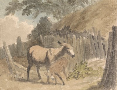 Osioł i źrebię autorstwa Robert Hills