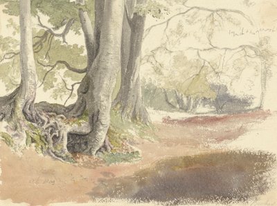 buki autorstwa Robert Hills