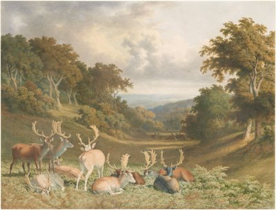  autorstwa Robert Hills
