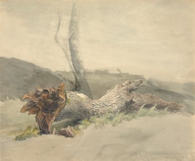 Upadłe drzewo autorstwa Robert Hills