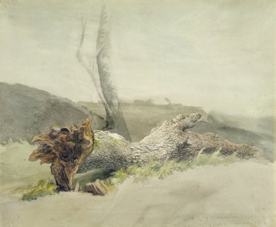 Powalone drzewo, ok. 1804 (wc nad grafitem na papierze tkanym) autorstwa Robert Hills