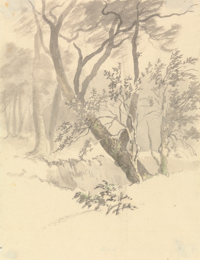Drewno autorstwa Robert Hills