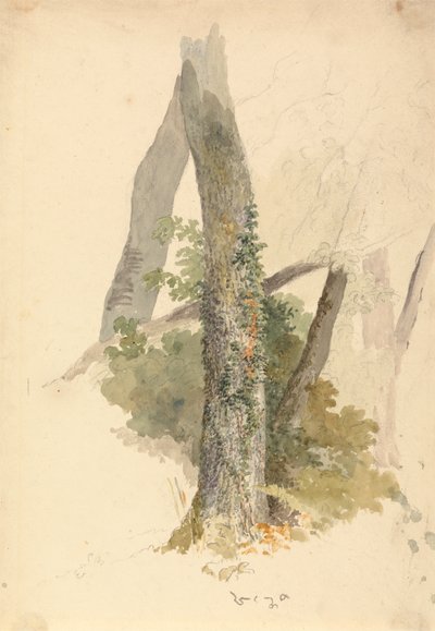 polish autorstwa Robert Hills