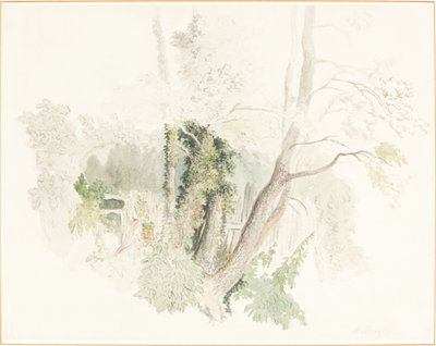 Drzewa w Beddington autorstwa Robert Hills