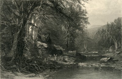 „Las Adirondack”, 1874. autorstwa Robert Hinshelwood